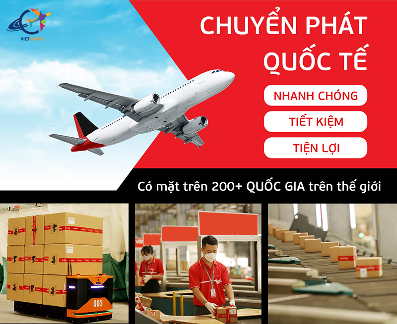 Các công ty vận chuyển hàng hóa quốc tế